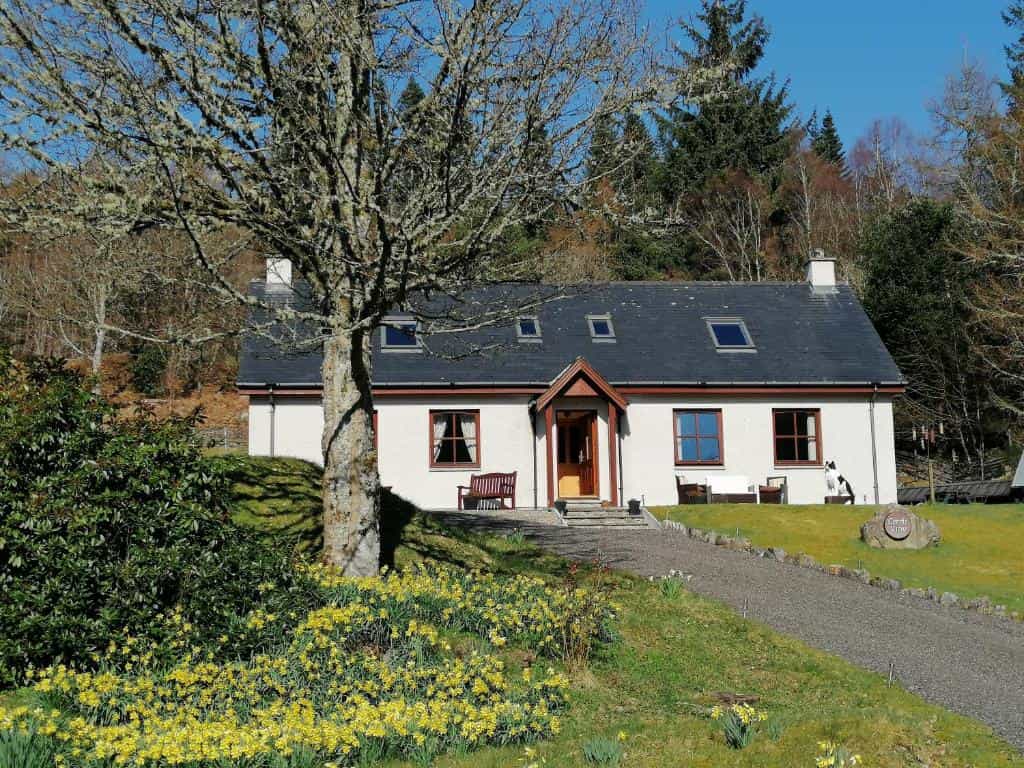 White cottage B&B with spring daffodils, mossy tree, and wooded hillside