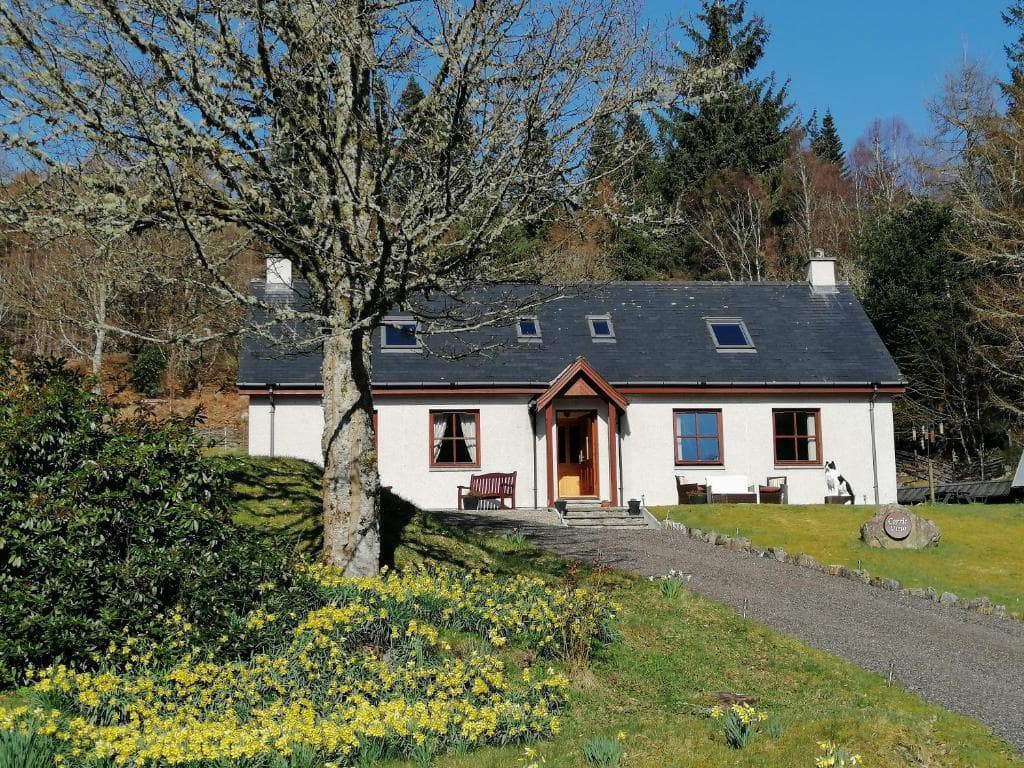 White cottage B&B with spring daffodils, mossy tree, and wooded hillside