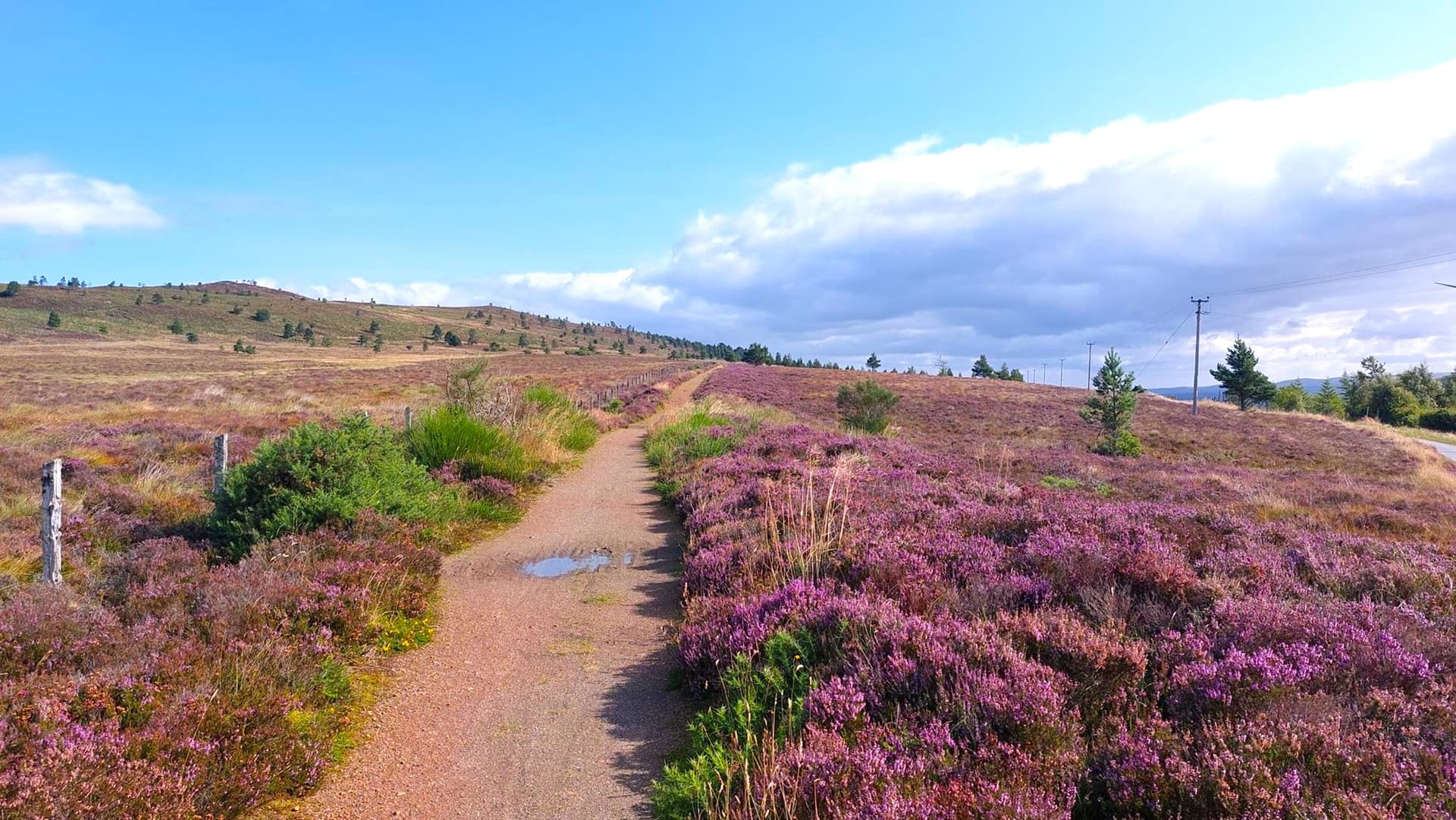 Dirt path through hills covered in purple heather under a blue sky, from Drumnadrochit to Inverness.
