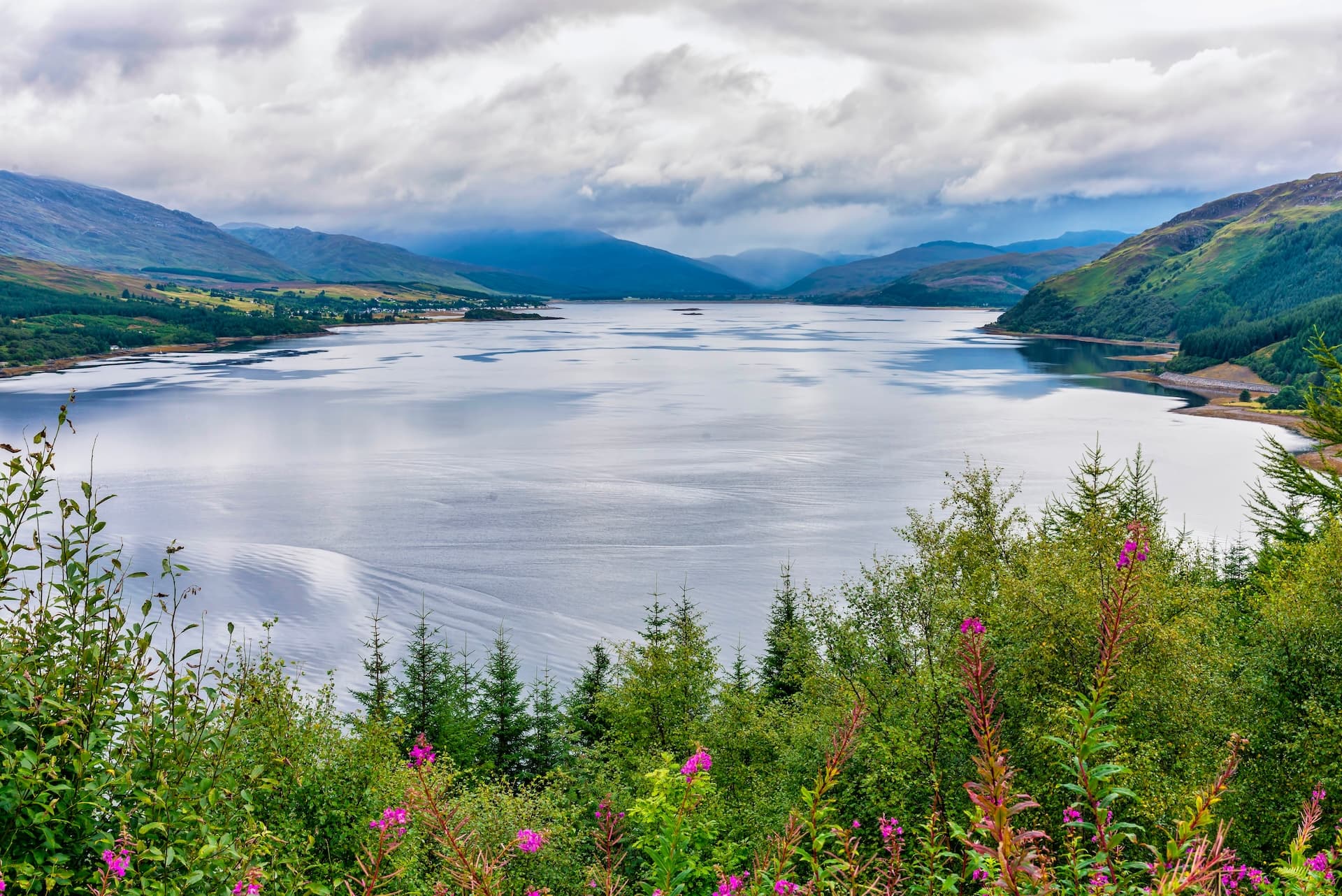 Loch Carron with calm water reflecting cloudy sky, viewed over green foliage and pink flowers.