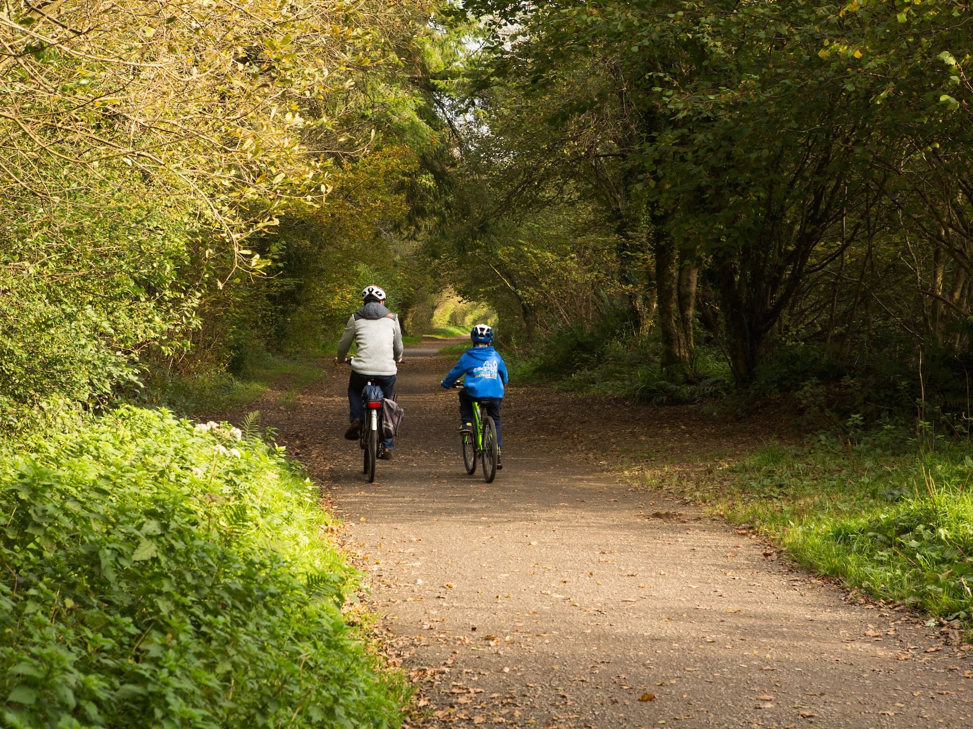 Cycling on a tree-lined path in Cornwall during autumn with lush green and yellow foliage.