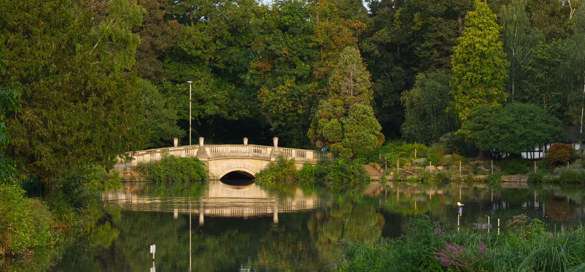 Stone arched bridge reflected in calm water surrounded by lush green trees in Pitville Park.