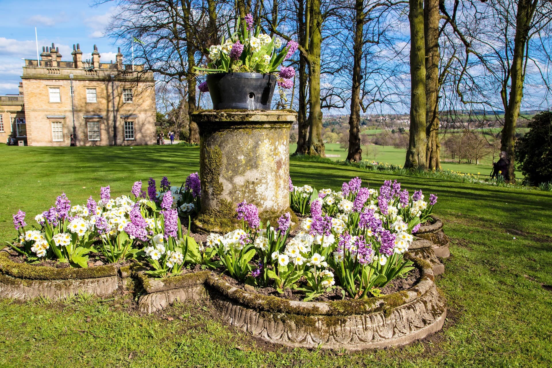 Spring flowers in stone planters on lawn with historic building and trees, Barnsley.