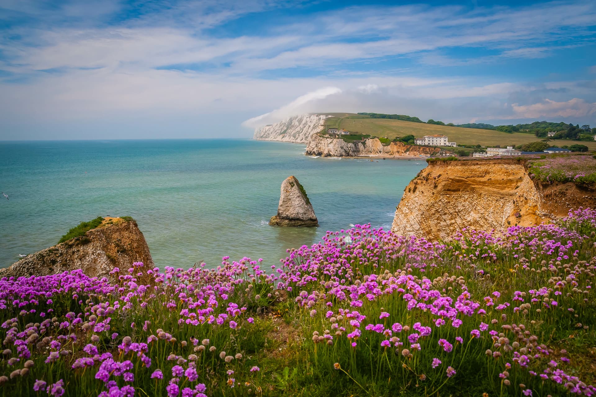 Coastal cliffs with sea stack, green grass, and purple thrift flowers overlooking turquoise water.