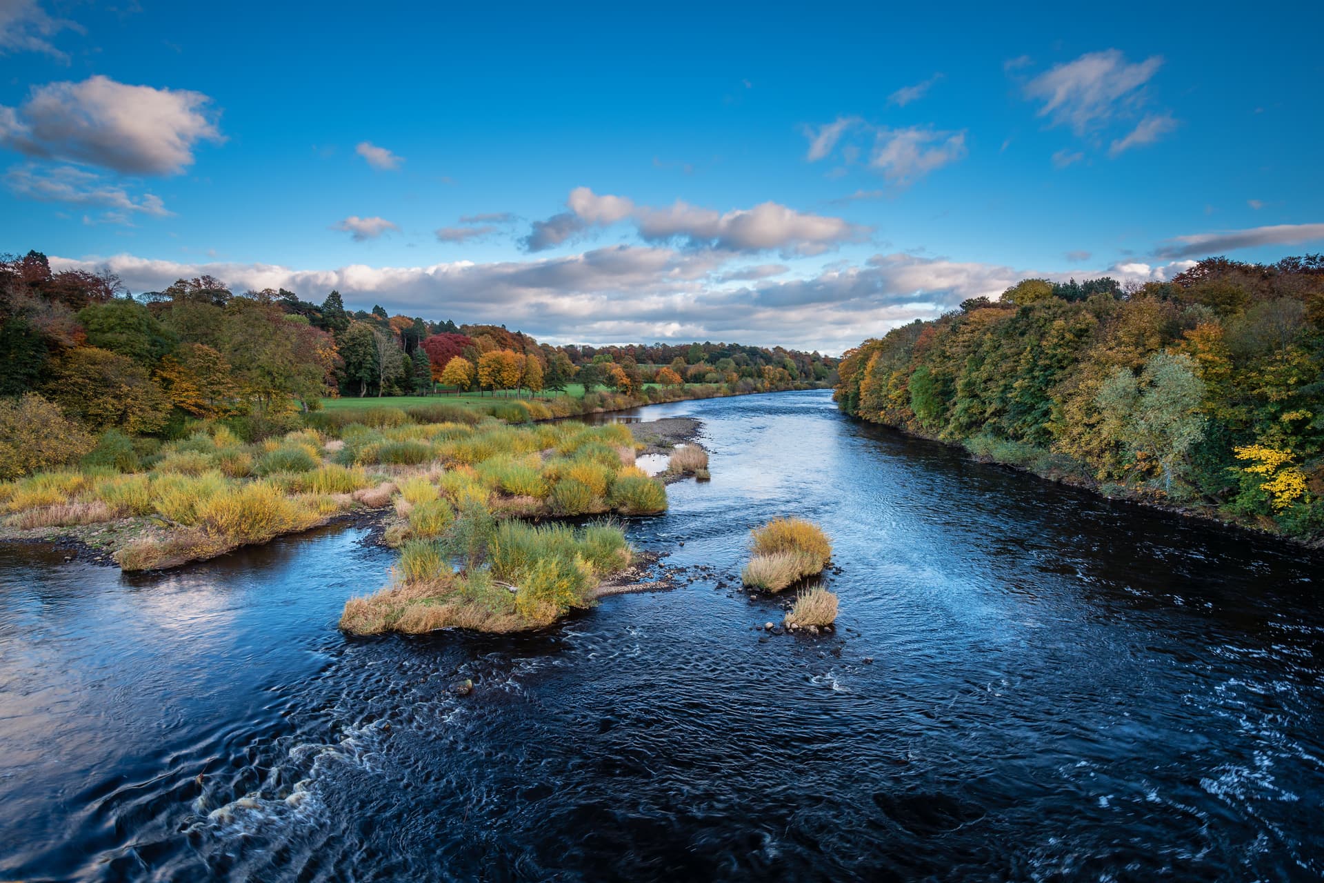River Tyne flowing past banks with autumn foliage under a bright blue sky with white clouds.