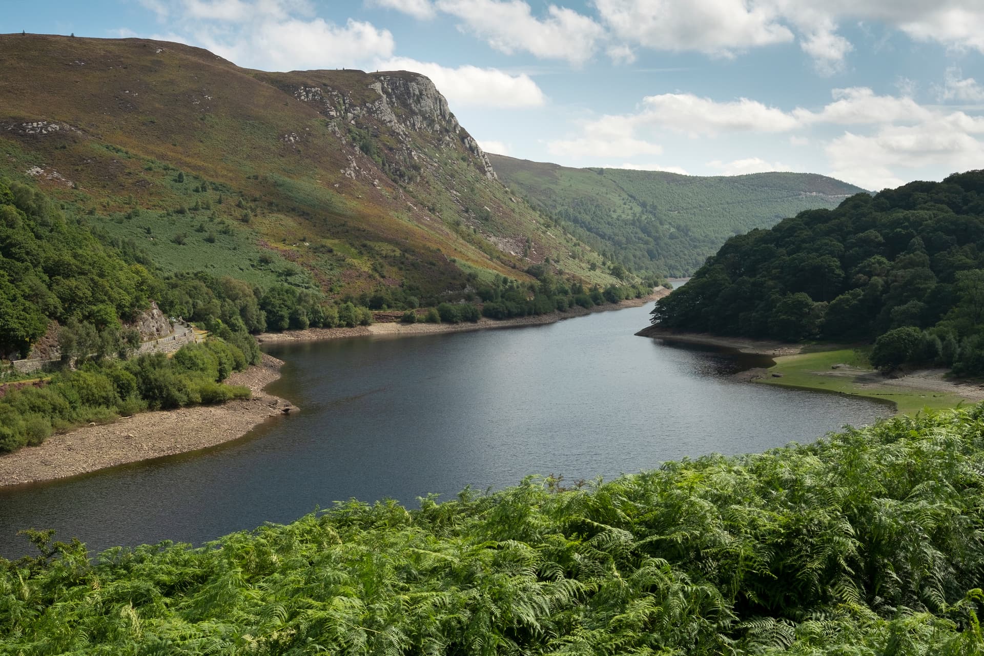 Reservoir surrounded by steep, heather-covered hillsides under a cloudy sky, with ferns in the foreground.