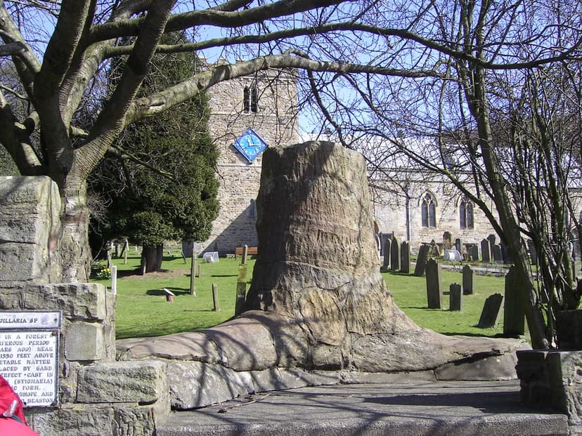 Fossil tree stump in Stanhope churchyard with stone church and gravestones in background