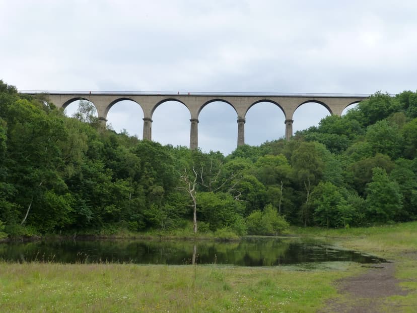 Hownsgill Viaduct with stone arches over a wooded valley and pond