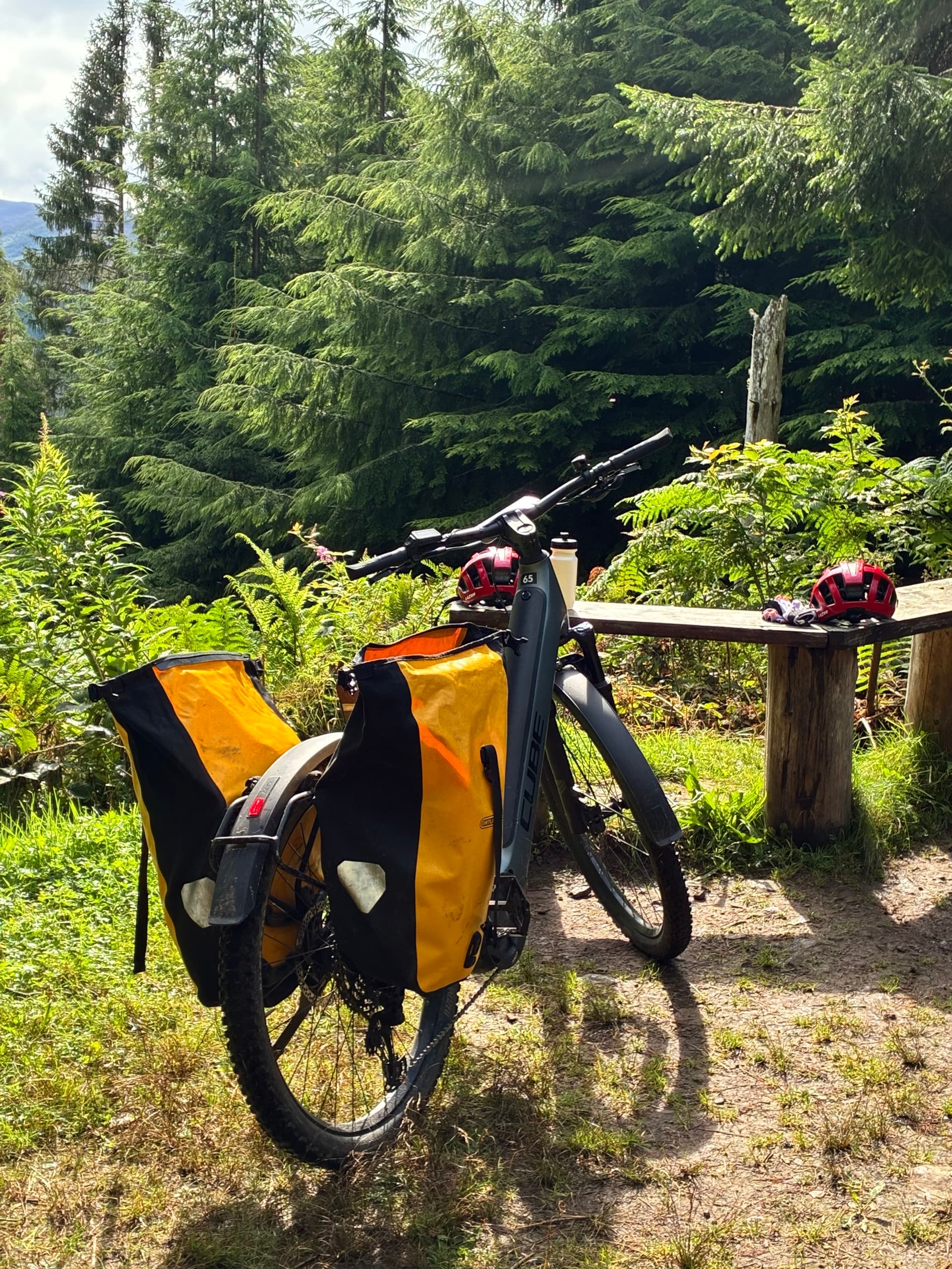 Touring bicycle with yellow panniers parked at a forest picnic spot with a wooden bench
