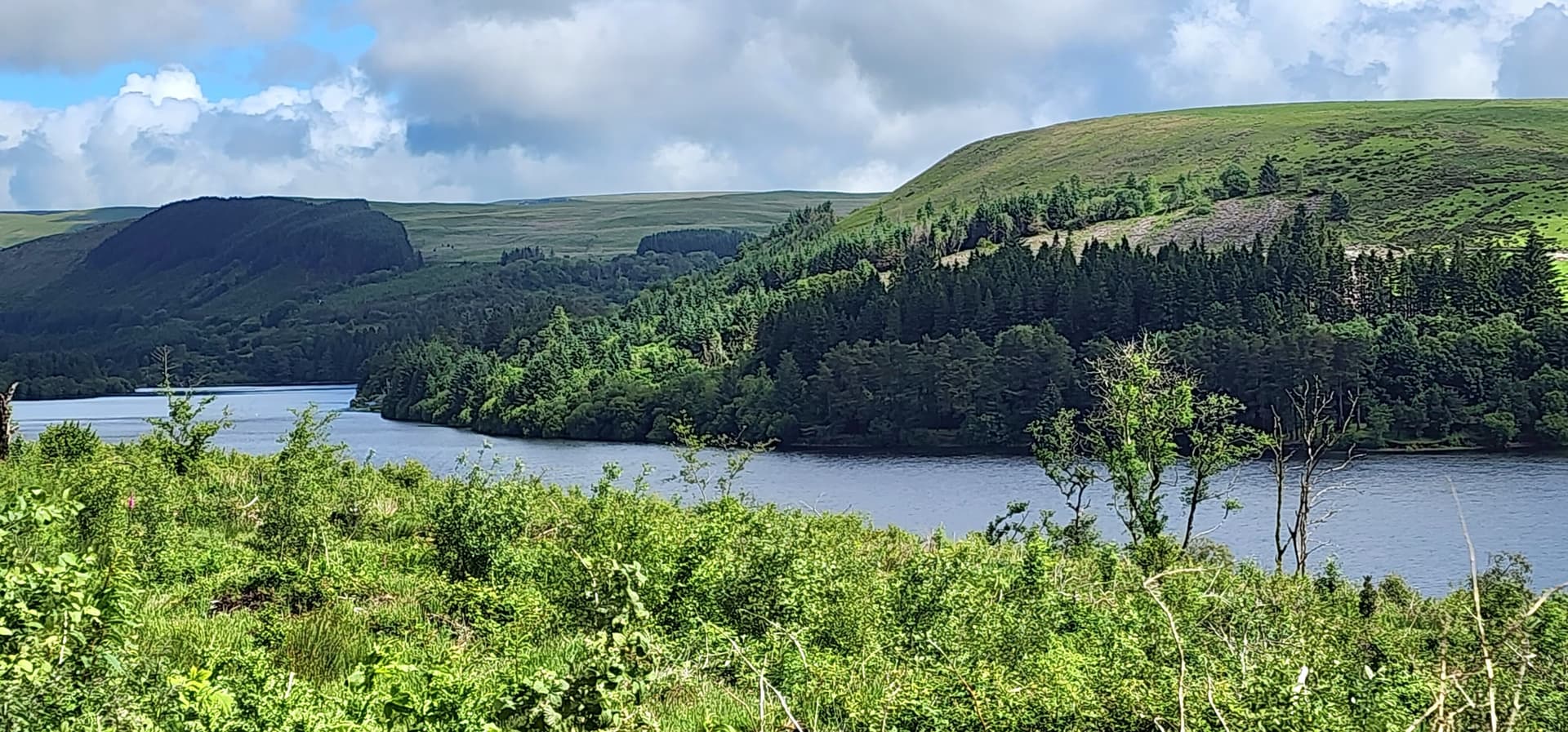 Reservoir surrounded by forested hills and grassy slopes under a cloudy sky