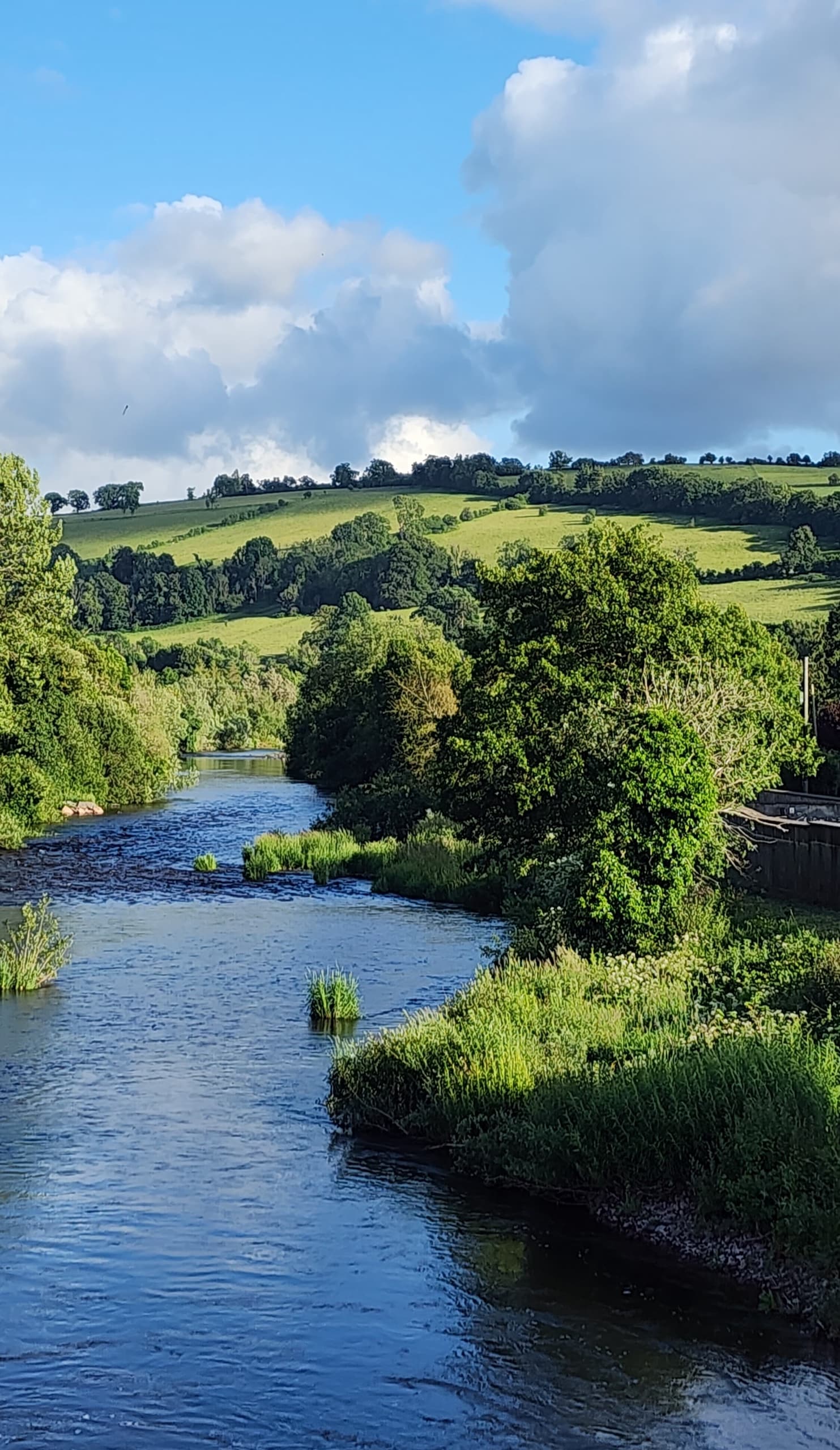 River winding through green farmland and trees under a cloudy sky
