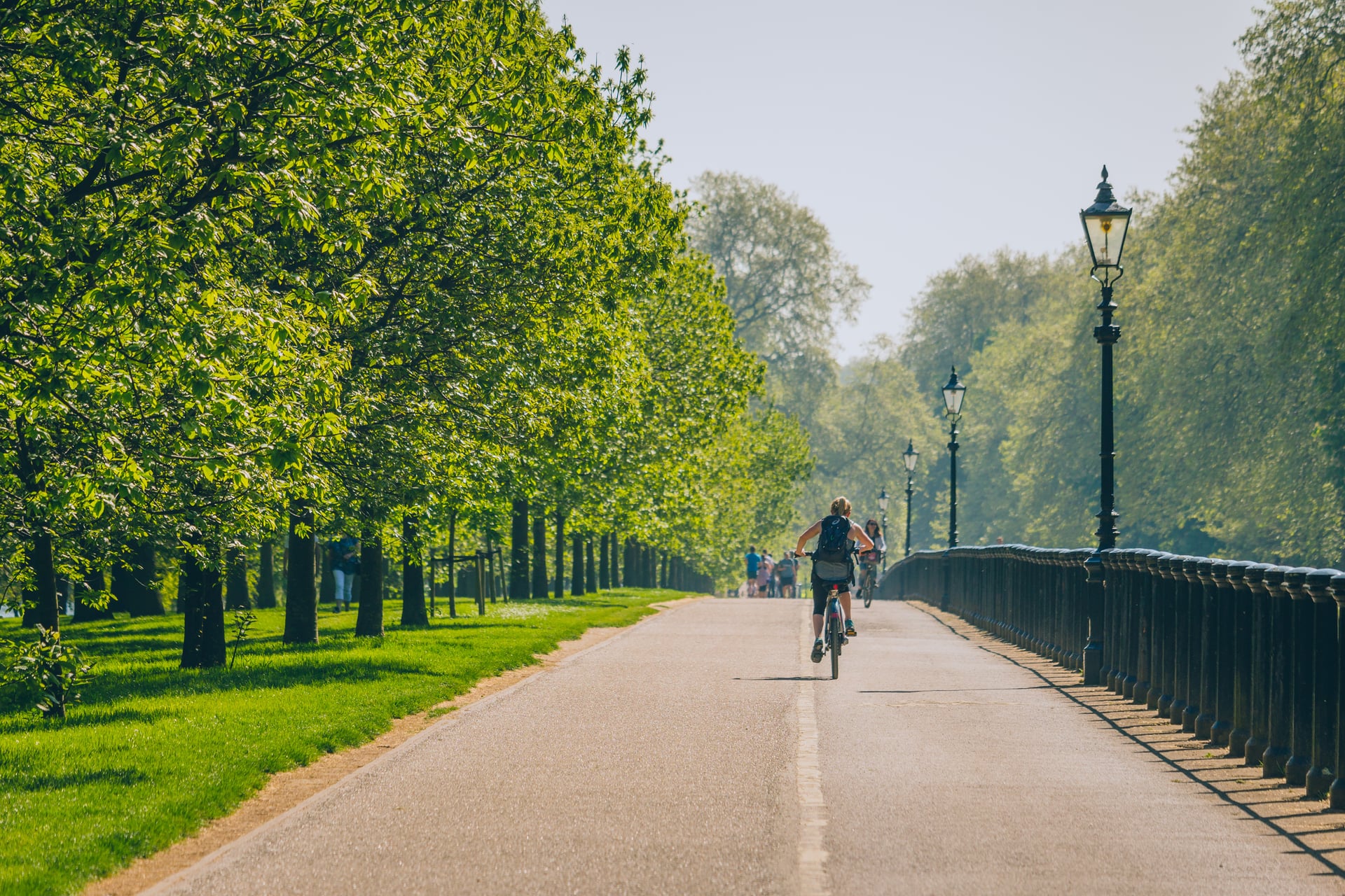Cyclists riding on paved path lined with green trees and historic lampposts in London.