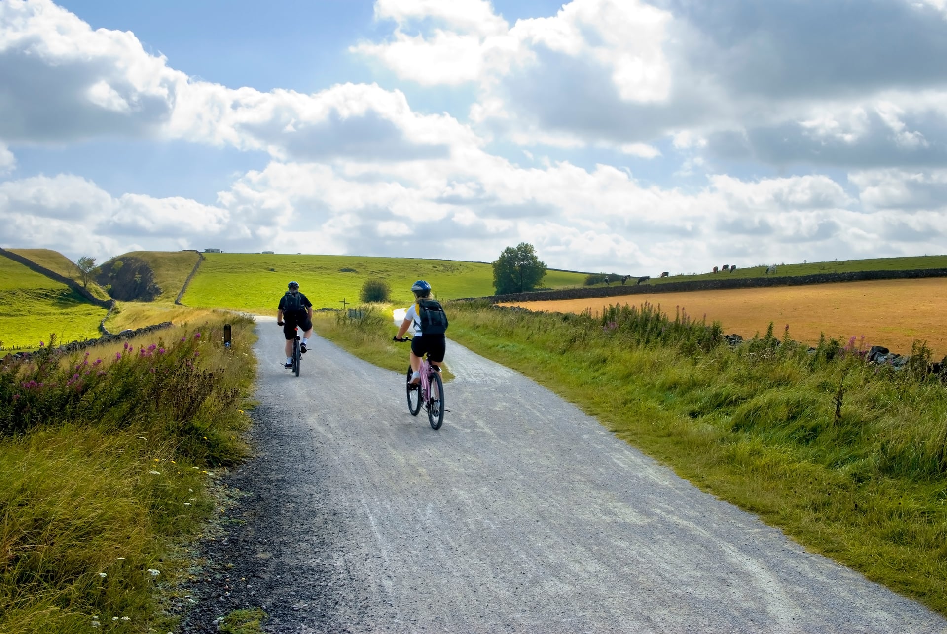 Cyclists riding on a gravel path through rolling green and yellow fields under a cloudy sky.
