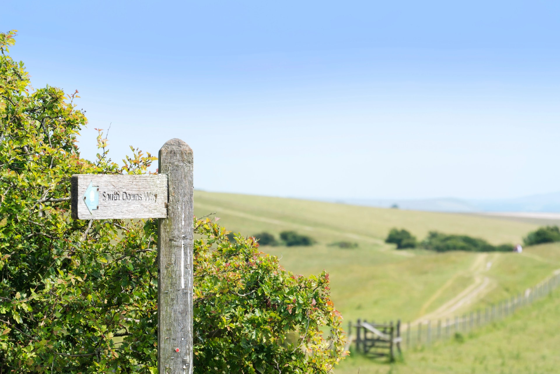 south downs