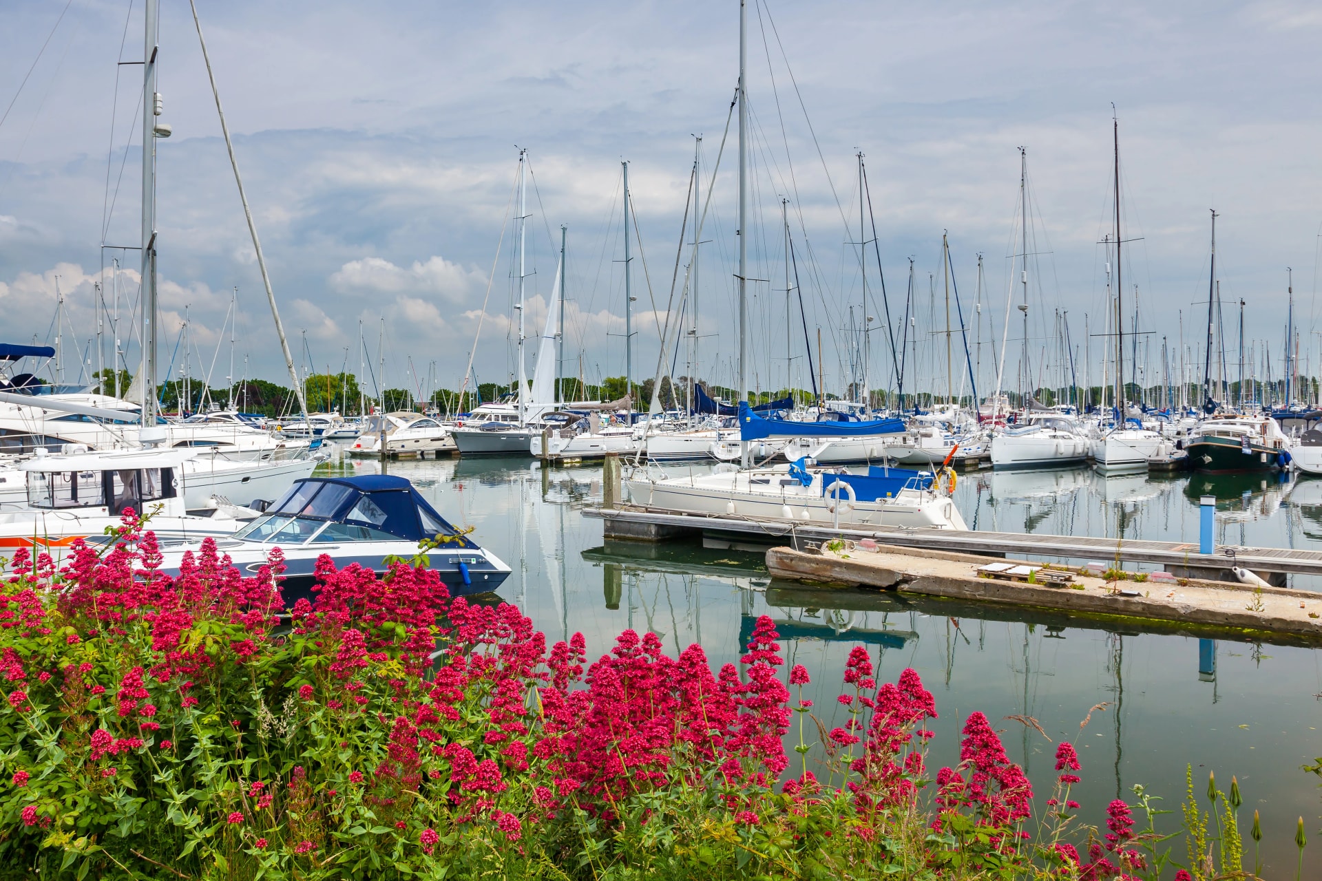 Chichester harbour West Sussex